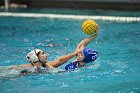 WWPolo vs CC  Wheaton College Women’s Water Polo compete in their sports inaugural match vs Connecticut College. - Photo By: KEITH NORDSTROM : Wheaton, water polo, inaugural